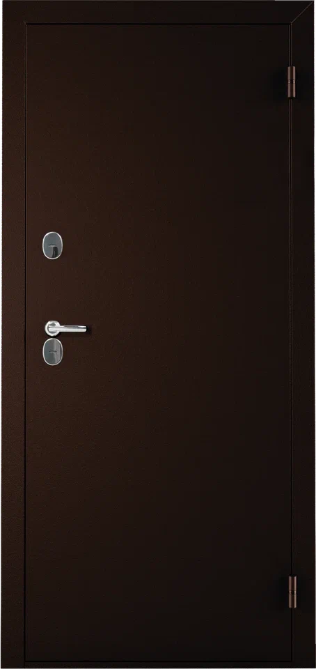 Дверь входная Норд RAL8019/Дуб канадский