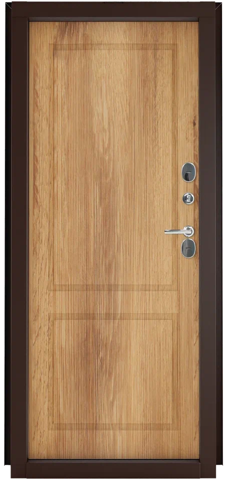 Дверь входная Норд RAL8019/Дуб канадский