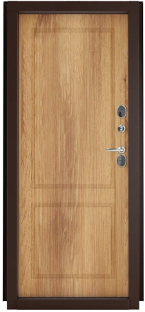 Дверь входная Норд RAL8019/Дуб канадский